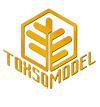 Toxso Model